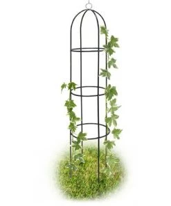 Relaxdays Obléisque Tuteur Plantes Grimpantes Rosiers Arcade Pour Roses Arceau Jardin Arche De Jardin Métal 190cm, Vert