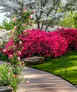 Relaxdays Arche à Rosiers En Métal Hauteur Env. 2,00 M Résistante Aux Intempéries Jardin Tuteur Pour Plantes Arche Pour Plantes Grimpantes Arceau De Jardin 240 X 140 Cm, Vert 9 Relaxdays Arche à Rosiers En Métal Hauteur Env. 2,00 M Résistante Aux Intempéries Jardin Tuteur Pour Plantes Arche Pour Plantes Grimpantes Arceau De Jardin 240 X 140 Cm, Vert -Accessoire de culture Soldes Boutique 10363212 3