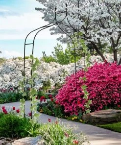 Relaxdays Arche à Rosiers Courbée Avec Pointe, Métal 2,4 M, Arceau De Jardin, Obélisque, Tuteur Plantes Grimpantes, Vert -Accessoire de culture Soldes Boutique 10365067 3