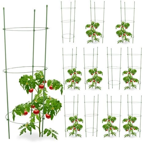 RELAXDAYS 12x Cage à Tomates Tuteur Plantes Grimpantes, Support à 3 Anneaux, Jardin, Balcon, Set De 2, 76 Cm Long, Vert 3 RELAXDAYS 12x Cage à Tomates Tuteur Plantes Grimpantes, Support à 3 Anneaux, Jardin, Balcon, Set De 2, 76 Cm Long, Vert