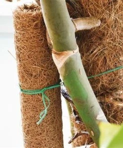 HELIOTRADE Lien Souple Armé 50 M Pour Attache Tuteur Potager 50 Mètres -Accessoire de culture Soldes Boutique 11266665 5