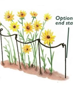 HARROD HORTICULTURAL Support à Plantes Courbé En Acier (lot De 6) Vert - Vert 8 HARROD HORTICULTURAL Support à Plantes Courbé En Acier (lot De 6) Vert - Vert -Accessoire de culture Soldes Boutique 11740089 3