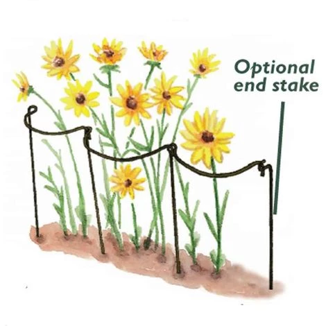 HARROD HORTICULTURAL Support à Plantes Courbé En Acier (lot De 6) Vert - Vert 5 HARROD HORTICULTURAL Support à Plantes Courbé En Acier (lot De 6) Vert - Vert – Image 3