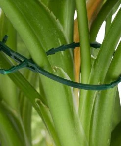 Relaxdays Set D’attache Plantes Set De 110 Pièces. Clips Stables, Fils Fournis Le Cutter, Tuteur Roses, Tomates, Vert 10 Relaxdays Set D’attache Plantes Set De 110 Pièces. Clips Stables, Fils Fournis Le Cutter, Tuteur Roses, Tomates, Vert -Accessoire de culture Soldes Boutique 13622613 4