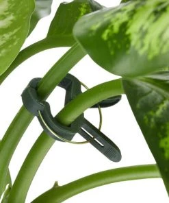 Relaxdays Set D’attache Plantes Set De 110 Pièces. Clips Stables, Fils Fournis Le Cutter, Tuteur Roses, Tomates, Vert 11 Relaxdays Set D’attache Plantes Set De 110 Pièces. Clips Stables, Fils Fournis Le Cutter, Tuteur Roses, Tomates, Vert -Accessoire de culture Soldes Boutique 13622613 5