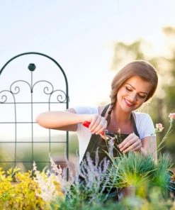 Relaxdays Treillis Jardin Fer Set De 2 Clôture Plante Grimpante Grille Fleurs Arceau Rosier 180 X 50 Cm B, Vert Foncé -Accessoire de culture Soldes Boutique 13679108 4