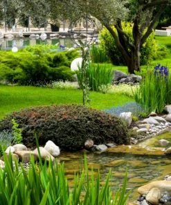 Relaxdays Tuteur De Jardin H 157 Cm, Boule Ronde, Colonne Rosier, Arche Plante Grimpante, Set 2 Métal Arceau, Vert Foncé 11 Relaxdays Tuteur De Jardin H 157 Cm, Boule Ronde, Colonne Rosier, Arche Plante Grimpante, Set 2 Métal Arceau, Vert Foncé -Accessoire de culture Soldes Boutique 13884344 5