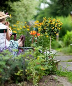 Relaxdays Obélisque De Jardin, Colonne Rosier, Arche Plante Grimpante, Set De 3 Métal Cage Rose, Arceau, Vert Foncé -Accessoire de culture Soldes Boutique 13884352 4