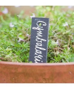 DIRECT FILET Lot De 5 étiquettes En Ardoise 15x3cm à Piquer Ou à Suspendre