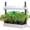 Micro Jardin Avec Lampe - Blanc - 11W - Garland -Accessoire de culture Soldes Boutique 15781370 1
