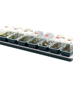 Lot De 7 Serres Chauffantes - 76 X 18,5 X 15 Cm - Garland