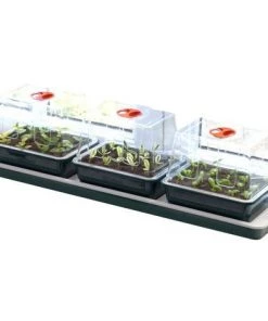 Lot De 3 Serres Chauffantes - 76 X 18 X 20,5 Cm - Garland