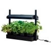 Micro Jardin Avec Lampe - Noir - 11W - Garland -Accessoire de culture Soldes Boutique 15790523 1