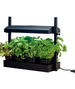 Micro Jardin Avec Lampe - Noir - 11W - Garland