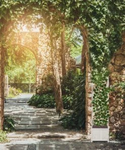 Relaxdays Jardinière Avec Treillis Espalier Tuteur Plantes Grimpantes Bac à Fleur Bois Vigne Rose 25 L, 145,5 Cm, Blanc -Accessoire de culture Soldes Boutique 15951490 3