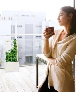 Relaxdays Jardinière Avec Treillis Espalier Tuteur Plantes Grimpantes Bac à Fleurs Bois Vigne Rose 35 L, 150 Cm, Blanc 10 Relaxdays Jardinière Avec Treillis Espalier Tuteur Plantes Grimpantes Bac à Fleurs Bois Vigne Rose 35 L, 150 Cm, Blanc -Accessoire de culture Soldes Boutique 15951500 4