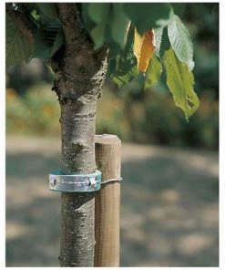 VILMORIN Collier Mousse 60cm