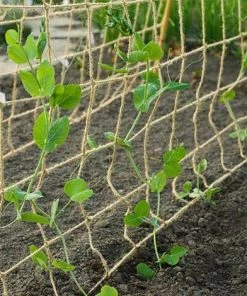 NATURE Filet à Ramer En Jute, Dimensions 1 X 3 M