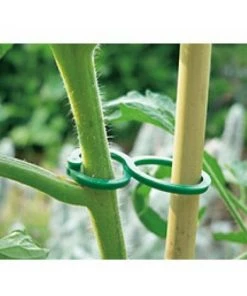 AUTRES Tomato Clips 25 Pièces - NORTENE