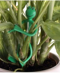 Attache-plantes Forme Grenouille - Lot De 2 - Astuceo - Vert