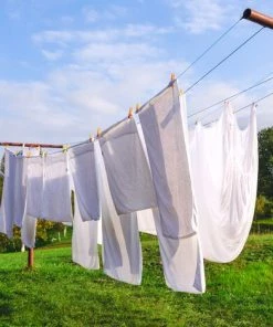 PrimeMatik - Corde à Linge PVC Avec âme En Fil 20 M X 3 Mm Vert -Accessoire de culture Soldes Boutique 19334016 3