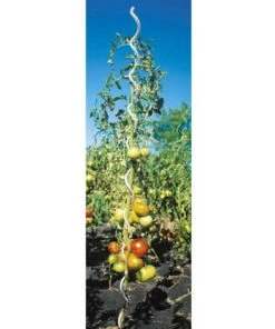 Lot De 5 Tuteurs Spirale En Acier Galvanisé H:1,80m Windhager -Accessoire de culture Soldes Boutique 19772629 4