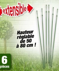 OUTIROR Lot De 6 Tuteurs Pour Plantes