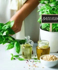 Relaxdays Tableau Pour Plantes à Piquer, Lot De 24, à Inscrire, Jardin D’herbes, 14x9 Cm, Panneau à Herbes, Bois, Nature 8 Relaxdays Tableau Pour Plantes à Piquer, Lot De 24, à Inscrire, Jardin D’herbes, 14x9 Cm, Panneau à Herbes, Bois, Nature -Accessoire de culture Soldes Boutique 26751374 2