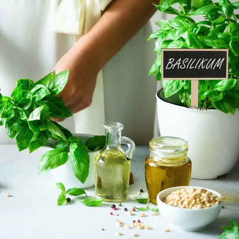 Relaxdays Tableau Pour Plantes à Piquer, Lot De 24, à Inscrire, Jardin D’herbes, 14x9 Cm, Panneau à Herbes, Bois, Nature 4 Relaxdays Tableau Pour Plantes à Piquer, Lot De 24, à Inscrire, Jardin D’herbes, 14x9 Cm, Panneau à Herbes, Bois, Nature – Image 2