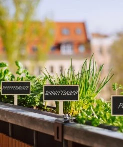Relaxdays Tableau Pour Plantes à Piquer, Lot De 24, à Inscrire, Jardin D’herbes, 14x9 Cm, Panneau à Herbes, Bois, Nature 11 Relaxdays Tableau Pour Plantes à Piquer, Lot De 24, à Inscrire, Jardin D’herbes, 14x9 Cm, Panneau à Herbes, Bois, Nature -Accessoire de culture Soldes Boutique 26751374 5