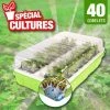 OUTIROR Kit De Germination 40 Godets Pour Réussir Vos Semis 2 OUTIROR Kit De Germination 40 Godets Pour Réussir Vos Semis -Accessoire de culture Soldes Boutique 27098901 1