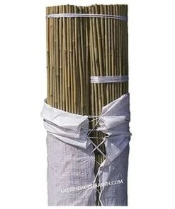 SUINGA 200 Unités X Tutoriel Bambou Naturel 210 Cm, Diamètre 14-16 Mm