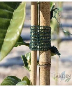 SUINGA Bandage En Raphia Vert 3 Cm X 50 M