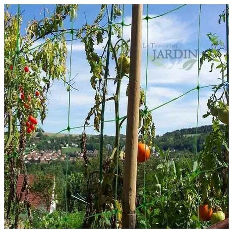 SUINGA Maille De Protection Verte 2 X 5 Mètres 4 SUINGA Maille De Protection Verte 2 X 5 Mètres – Image 2