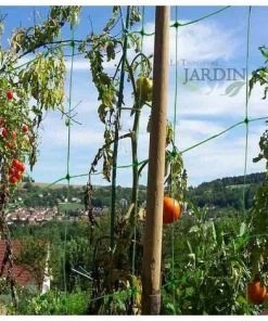 Accessoire de culture Soldes Boutique -Accessoire de culture Soldes Boutique 27212317 2