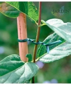 SUINGA Fil Plastifié Vert 30 Mètres