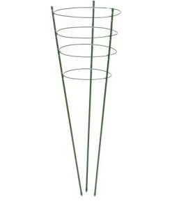 Tuteur Plante Nature Vert 90 Cm