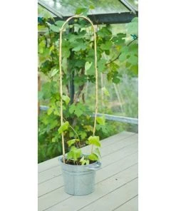 Tuteur Bambou Naturel Arceau H120cmxØ12-14mm 3 X -Accessoire de culture Soldes Boutique 27544288 4