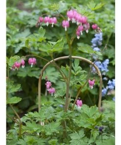 Tuteur Bambou Naturel Arceau H120cmxØ12-14mm 3 X -Accessoire de culture Soldes Boutique 27544288 5