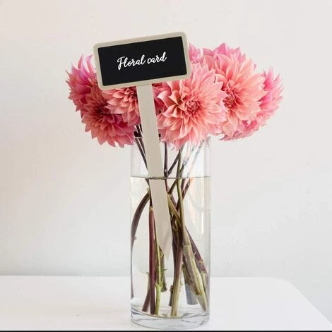 BARES Étiquettes Potager, HICOO Mini Tableau En Bois Étiquettes Pour Plantes Pour Pot De Fleur Graine En Pot Herbes Légumes 40Pcs 6 BARES Étiquettes Potager, HICOO Mini Tableau En Bois Étiquettes Pour Plantes Pour Pot De Fleur Graine En Pot Herbes Légumes 40Pcs – Image 4