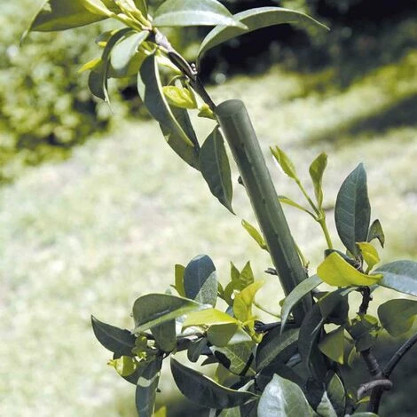 TENAX Tuteur Synthétique Plein Taille 1.2 M 4 TENAX Tuteur Synthétique Plein Taille 1.2 M – Image 2