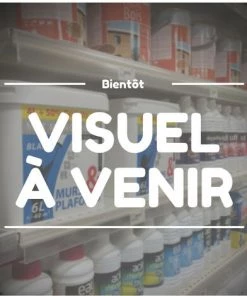 AUTRES Raphia Naturel 150g - NORTENE