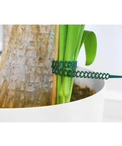 20 Attaches Souples Universelles Flexi-Fix Transparents - Fischer -Accessoire de culture Soldes Boutique 2824748 3