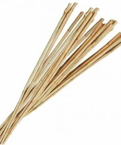 GARDMAN Tuteur Bambou 1m80 (Lot De 10) - Naturel - Naturel