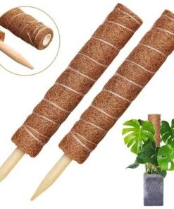 LangRay 2 Piezas De Soporte Para Plantas De Estaca De Coco, 30 Cm / 40 Cm De Planta De Palo De Coco, Poste De Fibra De Coco Para Plantas Trepadoras Y Plantas De Interior (30 Cm)
