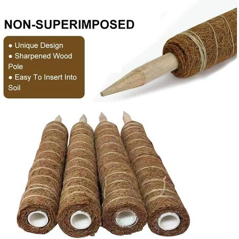 LangRay 2 Piezas De Soporte Para Plantas De Estaca De Coco, 30 Cm / 40 Cm De Planta De Palo De Coco, Poste De Fibra De Coco Para Plantas Trepadoras Y Plantas De Interior (30 Cm) 5 LangRay 2 Piezas De Soporte Para Plantas De Estaca De Coco, 30 Cm / 40 Cm De Planta De Palo De Coco, Poste De Fibra De Coco Para Plantas Trepadoras Y Plantas De Interior (30 Cm) – Image 3
