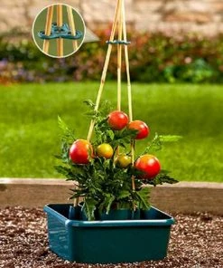 TERRE JARDIN Réservoir écologique Pour Tomates Avec Socle à Tuteur -Accessoire de culture Soldes Boutique 30043053 4