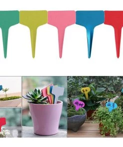 BETTERLIFE Étiquette De Jardinage D'étiquette De Fleur En Forme De T, étiquette De Plante En Plastique, étiquette De Couleur, 250PC, Couleur Aléatoire