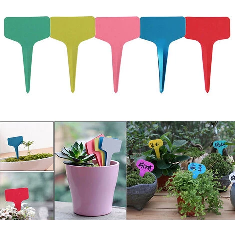BETTERLIFE Étiquette De Jardinage D'étiquette De Fleur En Forme De T, étiquette De Plante En Plastique, étiquette De Couleur, 250PC, Couleur Aléatoire 3 BETTERLIFE Étiquette De Jardinage D'étiquette De Fleur En Forme De T, étiquette De Plante En Plastique, étiquette De Couleur, 250PC, Couleur Aléatoire