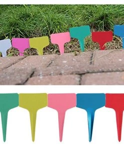 BETTERLIFE Étiquette De Jardinage D'étiquette De Fleur En Forme De T, étiquette De Plante En Plastique, étiquette De Couleur, 250PC, Couleur Aléatoire 11 BETTERLIFE Étiquette De Jardinage D'étiquette De Fleur En Forme De T, étiquette De Plante En Plastique, étiquette De Couleur, 250PC, Couleur Aléatoire -Accessoire de culture Soldes Boutique 30485683 5